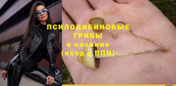 ПСИЛОЦИБИНОВЫЕ ГРИБЫ Абинск
