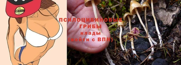 ALPHA-PVP Алексин