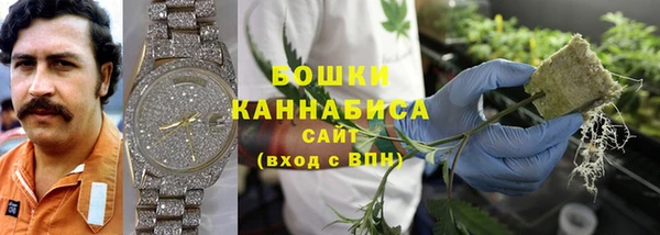 тгк Горно-Алтайск